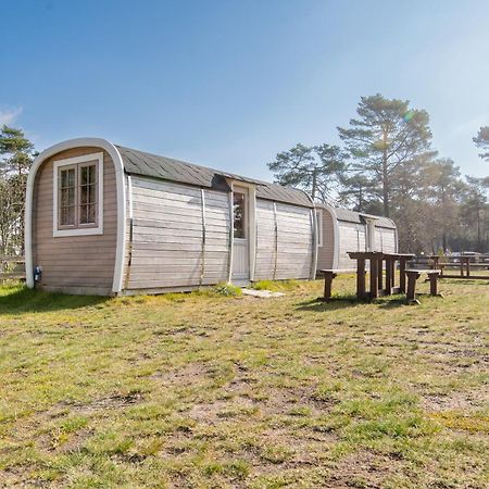 Naturcamping Lueneburger Heide - Chalets & Tiny Haeuser Soltau Exterior foto